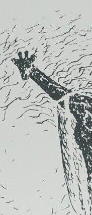 René Magritte (1898-1967) - Untitled (Giraffe in Glass) #4.3