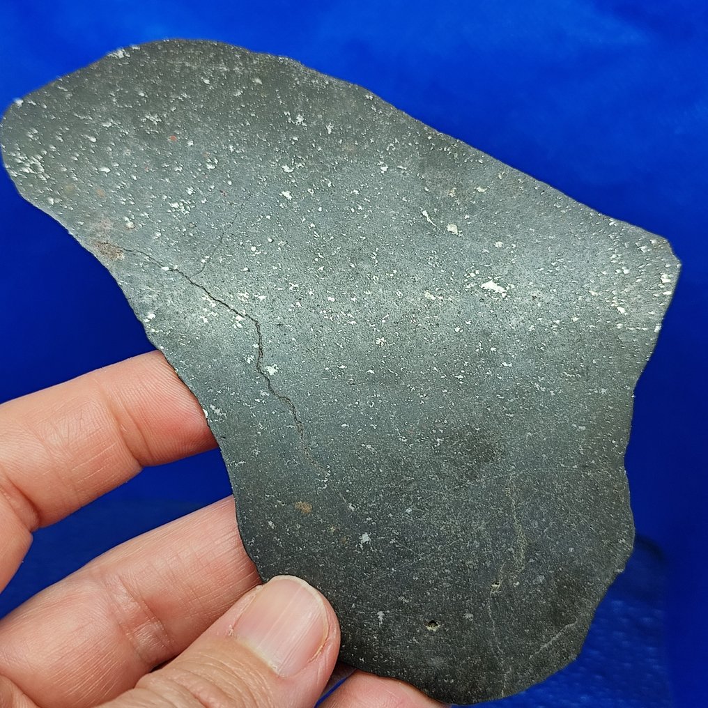 Csak 1700 g a világon. ÚJ!!! NWA 16666. Kondrit L5 (Sahara, 2020). - 54.9 g #4.3