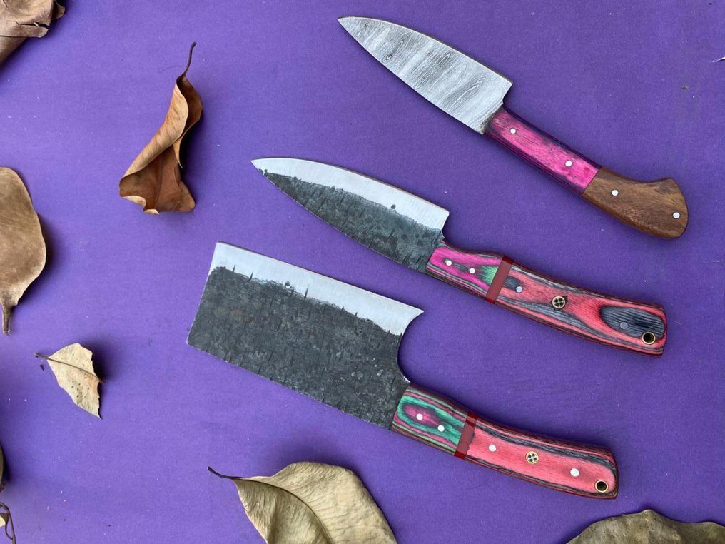 厨刀 -  手工风格的日本料理套装 - 钢铁与皮革 - 北美 #2.1