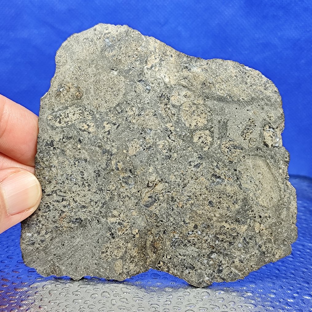 XL, 12.5 cm! EUCRITE METEORITE Slice. NEW "JIKHARRA 001" (Libya, 2022) - achondrite from VESTA - Without reserve price!!! - 75.4 g #1.0