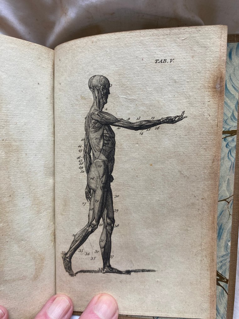 [James Handley] - Anatomical dialogues, or, A breviary of anatomy : wherein all parts of the human body are concisely - 1778 #1.0