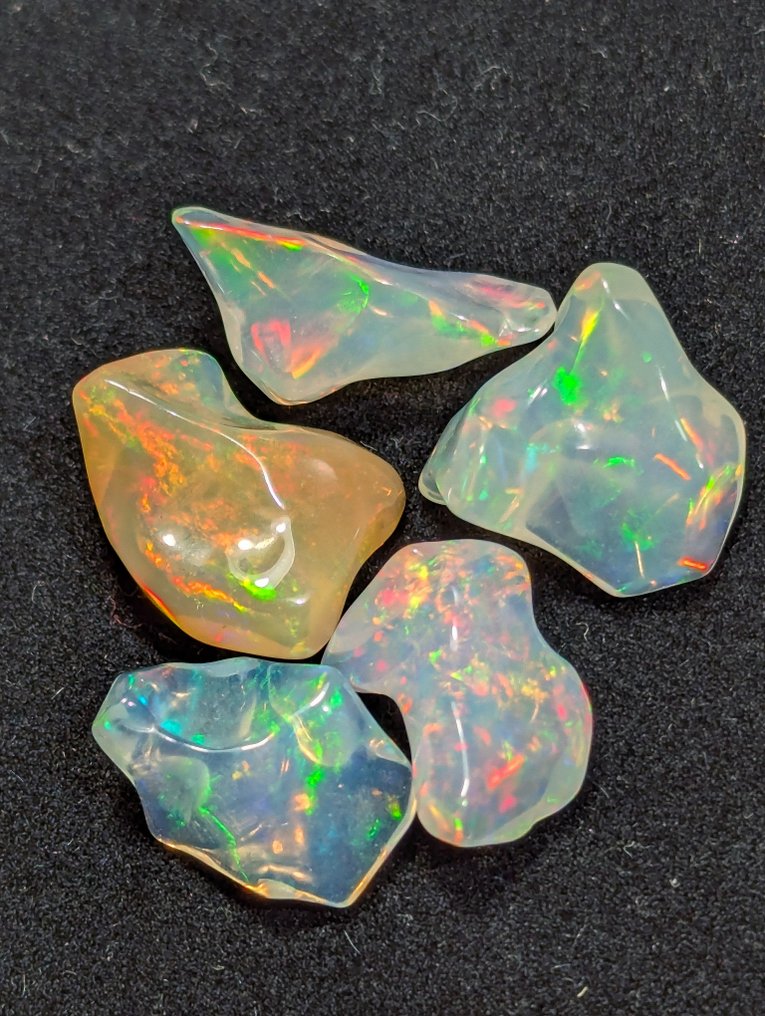 16.53 克拉 - AAA 级天然珍贵韦洛欧泊，抛光后展现出强烈的色彩变化。 自由形式 - 高度: 17 mm - 宽度: 13 mm- 3.31 g - (5) #1.0