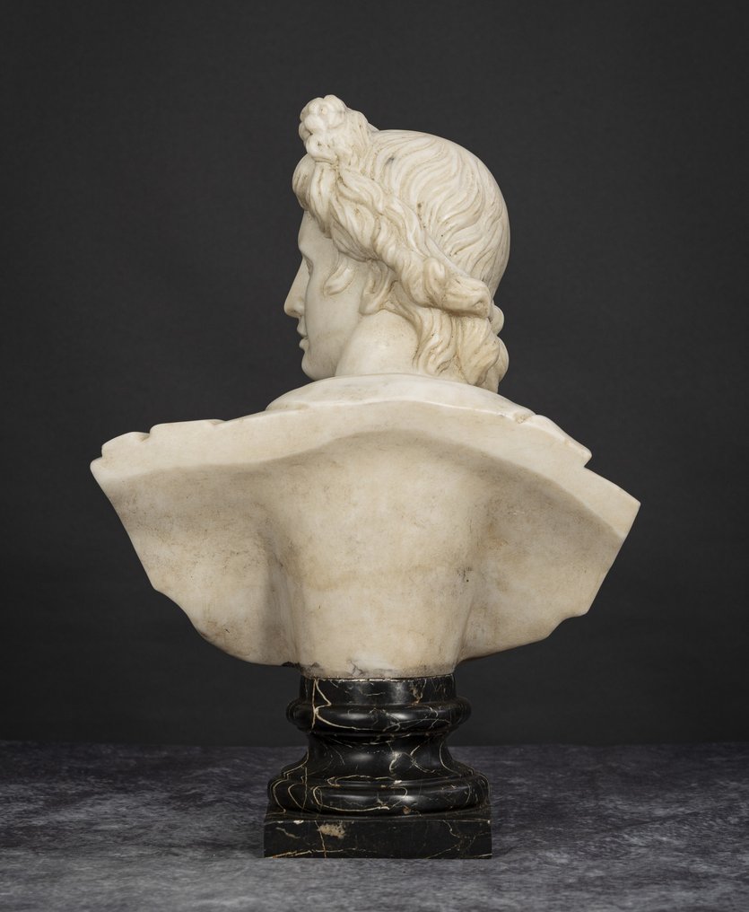 Γλυπτό, Busto Apollo del  Belvedere - 45 cm - Λευκός μάρμαρος statuario #4.3