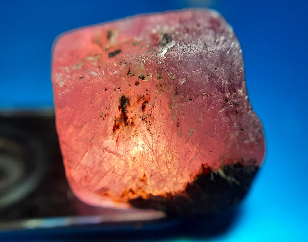 23,4 καρατίων - Σπάνιο, ακατέργαστο ροζ σμάραγδος Τραχύς- 4.68 g #4.3