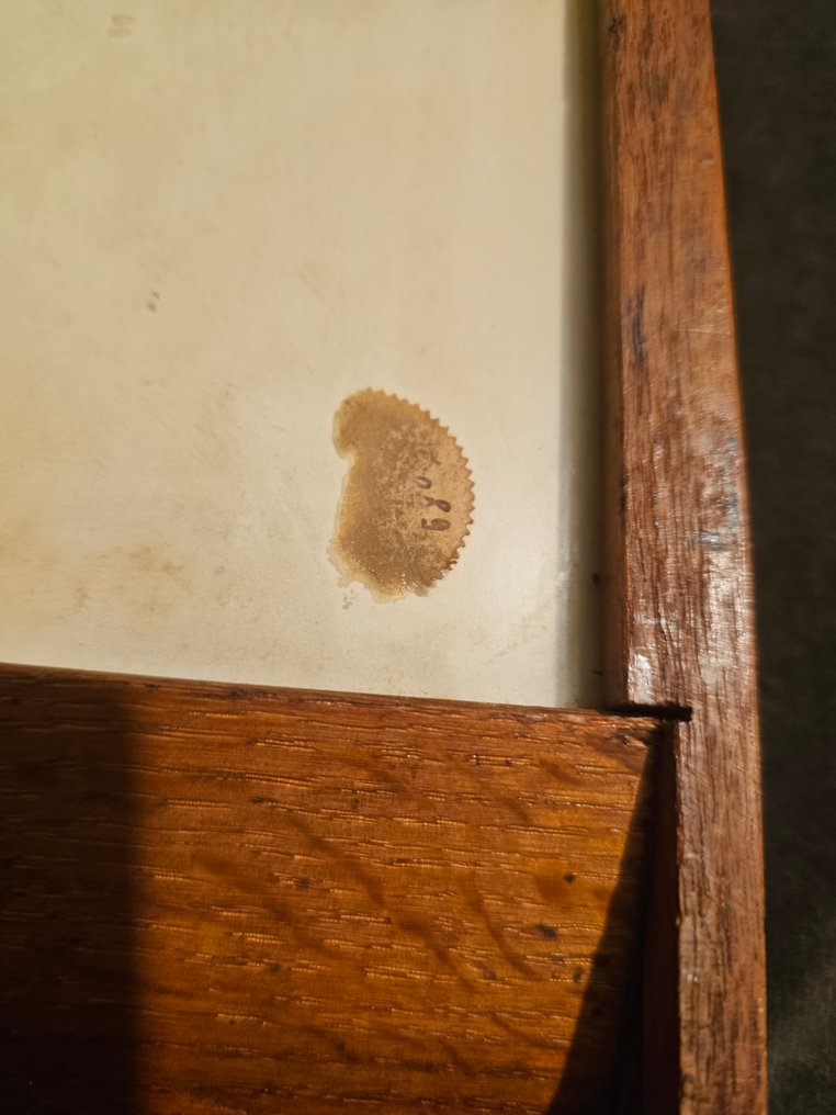 Tray - Wood, Glass - Tray with Rotterdam #3.2