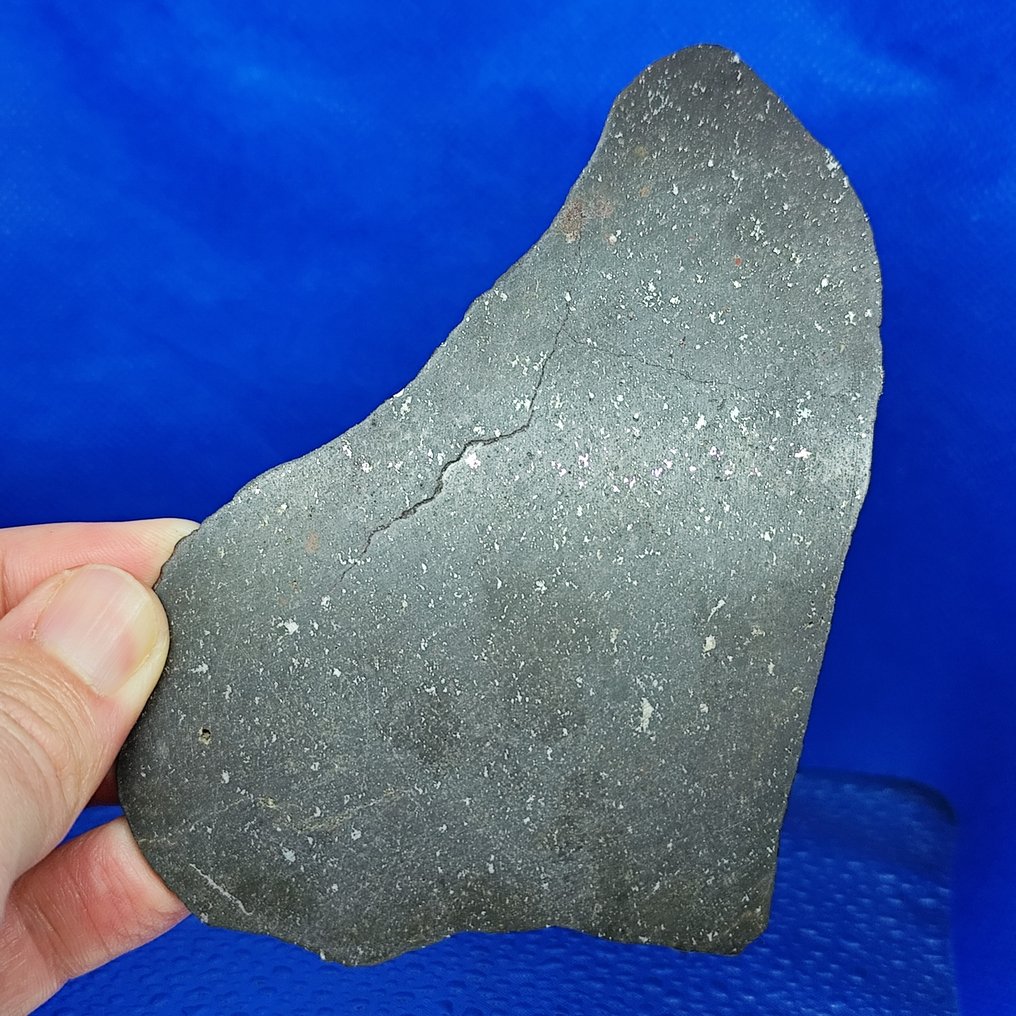 Csak 1700 g a világon. ÚJ!!! NWA 16666. Kondrit L5 (Sahara, 2020). - 54.9 g #1.0