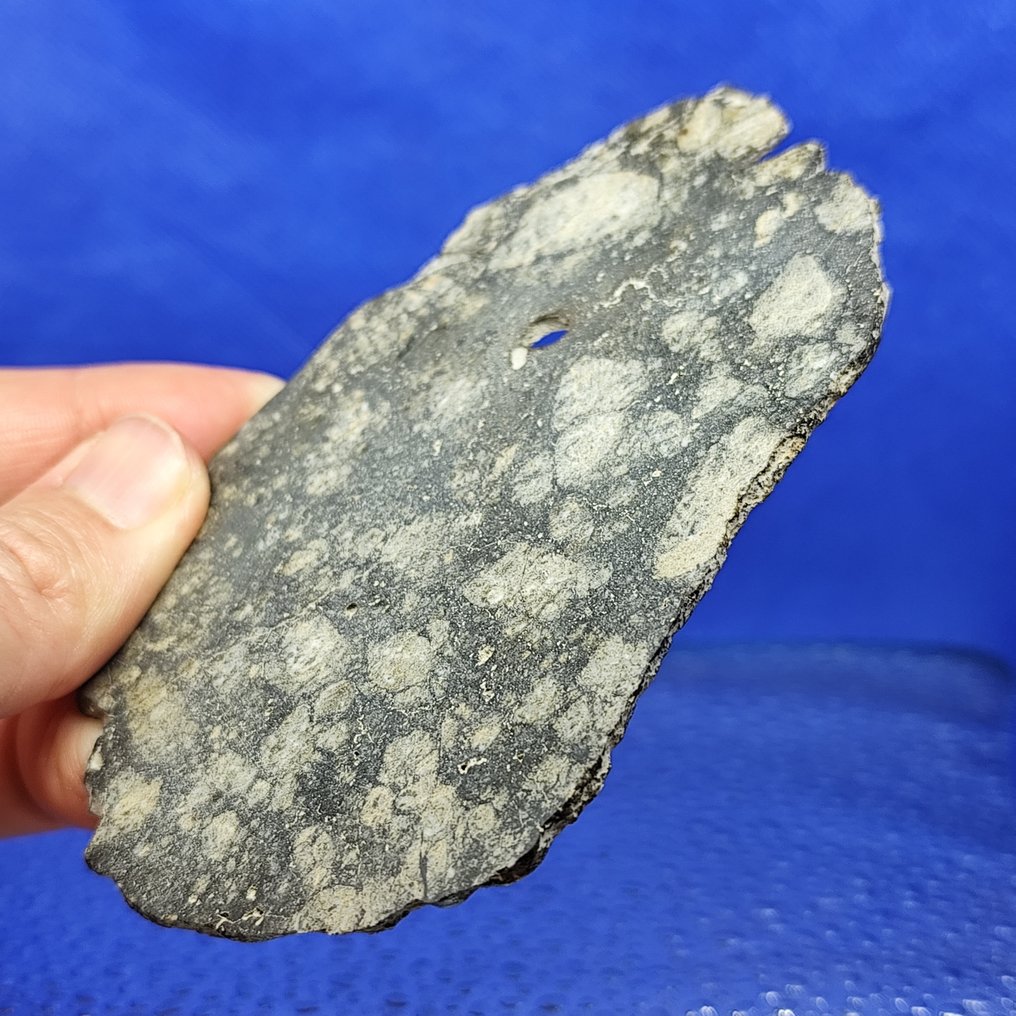 11,7 εκ. Καταπληκτικό!!! EUCRITE MELT BRECCIA. -ΜΕΤΕΩΡΙΤΗΣ αχονδρίτης από την Εστία- "NWA 15658" (Σαχάρα, 2022). ΧΩΡΙΣ ΕΛΑΧΙΣΤΗ ΤΙΜΗ! - 49.3 g #2.1