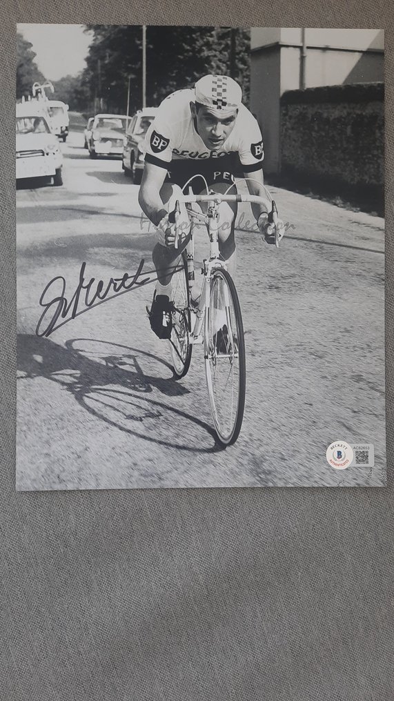 Eddy Merckx - Photograph  #1.0