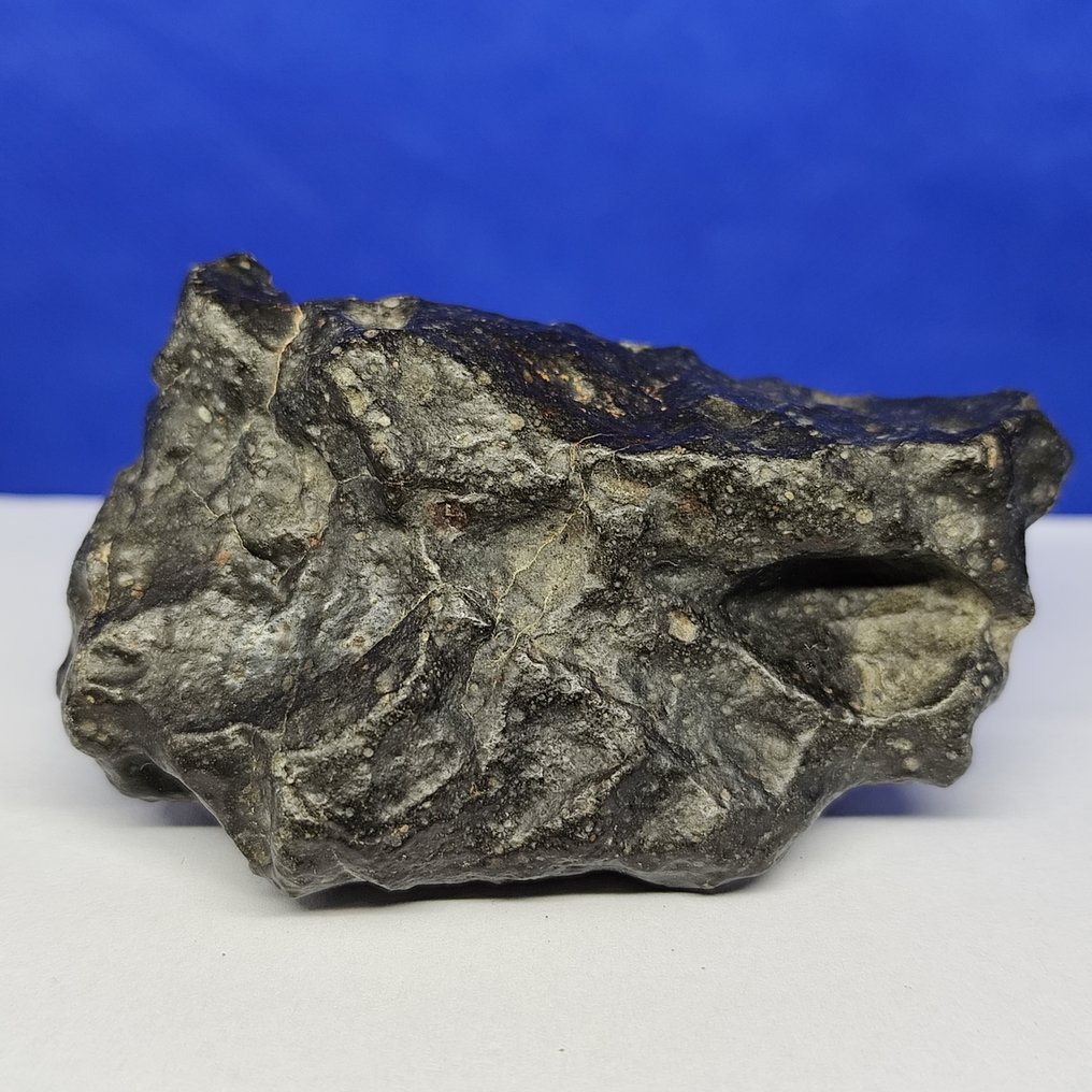 -全球仅1959克- RUMURUTI 玫瑰陨石 R3-6。NWA 13683（撒哈拉，2018年） 特大号件 - 161.3 g #1.0