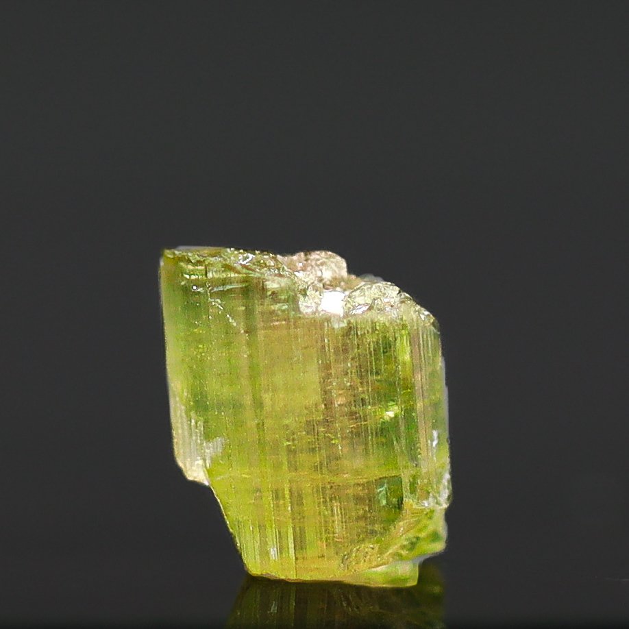 粉色查特酒区划,西瓜碧玺 无底价 • 1.60 克拉 - 高度: 10 mm - 闊度: 10 mm- 0.32 g - (1) #3.2