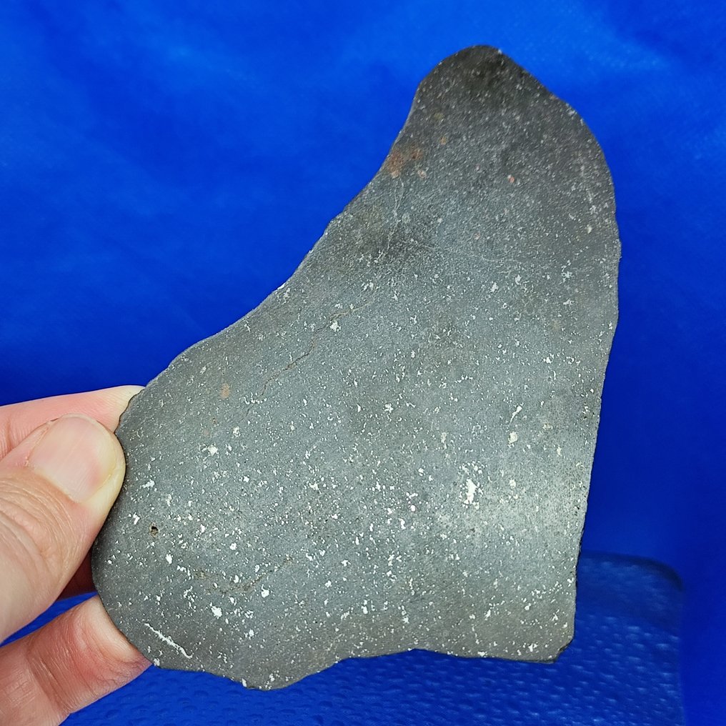 Csak 1700 g a világon. ÚJ!!! NWA 16666. Kondrit L5 (Sahara, 2020). - 54.9 g #1.0