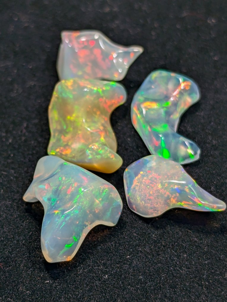 18,39 καρατίων - AAA φυσικά πολύτιμα Welo Opals, λείανση με έντονο παιχνίδι χρωμάτων. Ελεύθερη μορφή - Ύψος: 18 mm - Πλάτος: 14 mm- 3.68 g - (5) #4.3