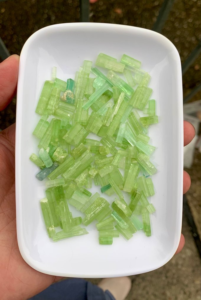 无底价电气石水晶批发，自然绿色，适合珠宝制造商，250克拉 水晶- 50 g - (1) #2.1