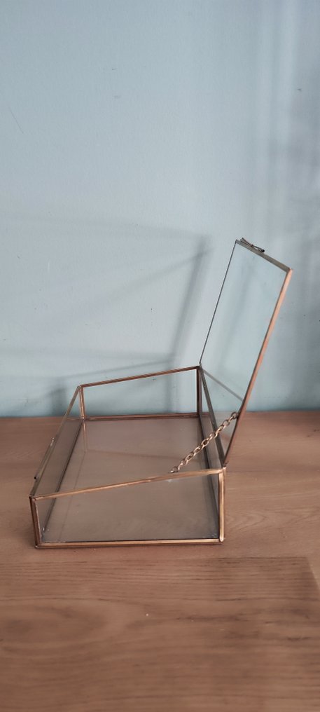 展示柜 - 黄铜, 玻璃 - Toonbank 陈列柜专家 #2.1