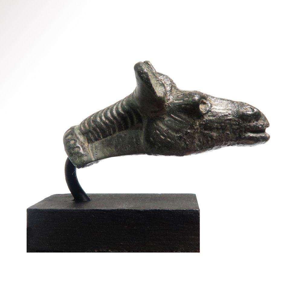 Antigua Roma Bronce Accesorio de cabeza de caballo #2.1