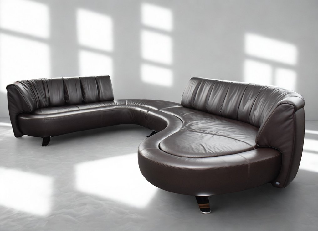 de Sede - Hugo de Ruiter - Καναπές - DS 1064 - Δέρμα - Τοπίο ποταμού #1.0