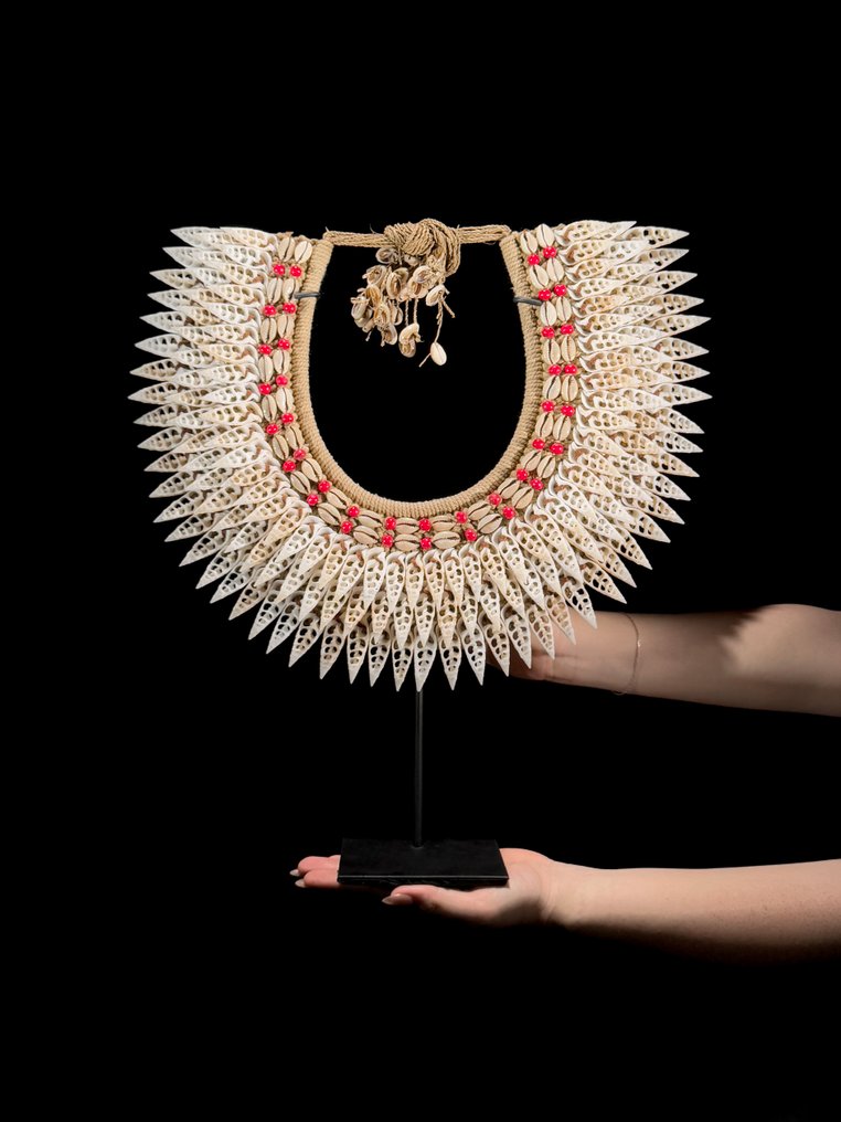 Διακοσμητικό στολίδι - NO RESERVE PRICE - SN12 - Decorative Shell Necklace on custom stand - Παπούα Νέα Γουινέα #1.0