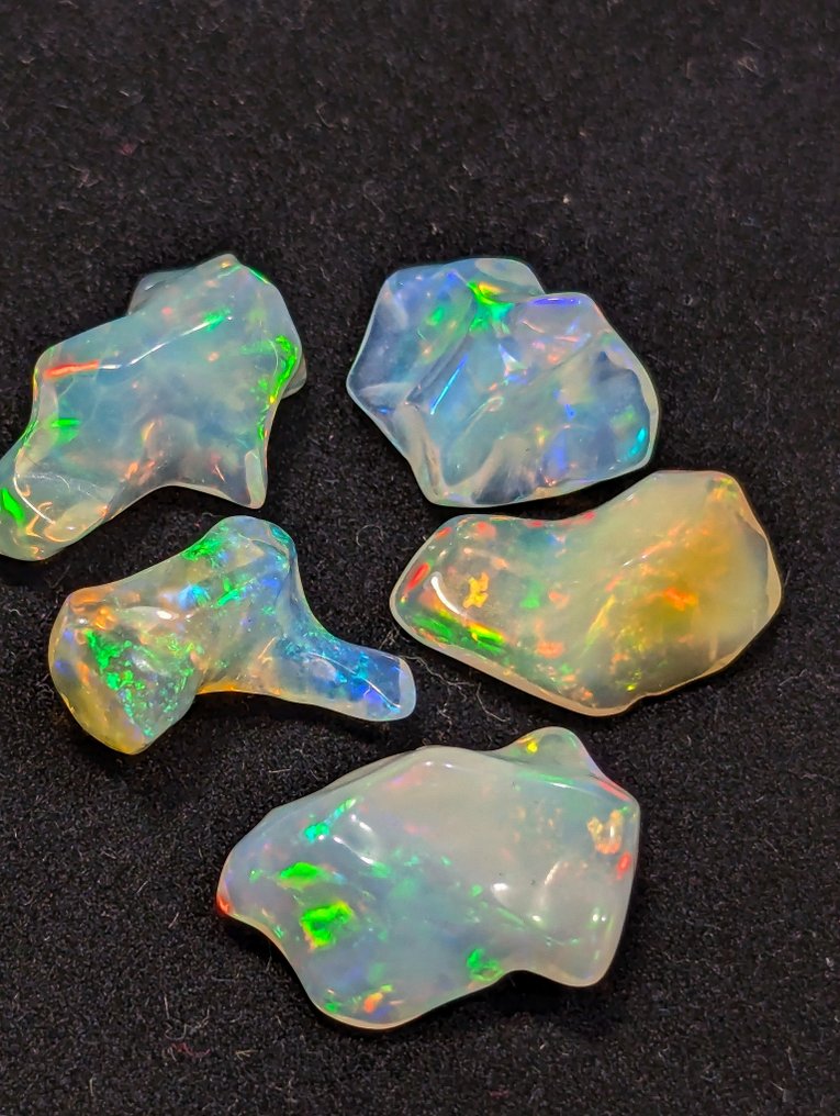 18,91 καρατίων - AAA φυσικά πολύτιμα Welo Opals, λείανση με έντονο παιχνίδι χρωμάτων. Ελεύθερη μορφή - Ύψος: 17 mm - Πλάτος: 13 mm- 3.78 g - (5) #3.2