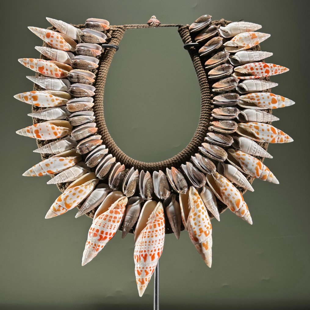Διακοσμητικό στολίδι - NO RESERVE PRICE - SN11 - Decorative Shell Necklace on a custom stand - Παπούα Νέα Γουινέα #3.2