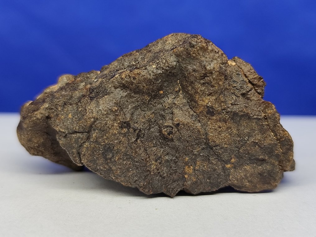 CHONDRIT de ENSTATIT!!! Provine din orbita lui Mercur! Meteoritul Al Haggounia 001, „EL4-7”. - 56.1 g #4.3