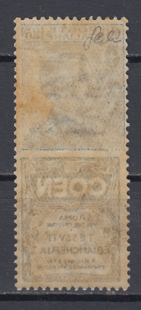 意大利王国 1924 - 1924年邮票，附有广告附录，COEN 蓝绿色，Mnh 认证 CILIO #1.0