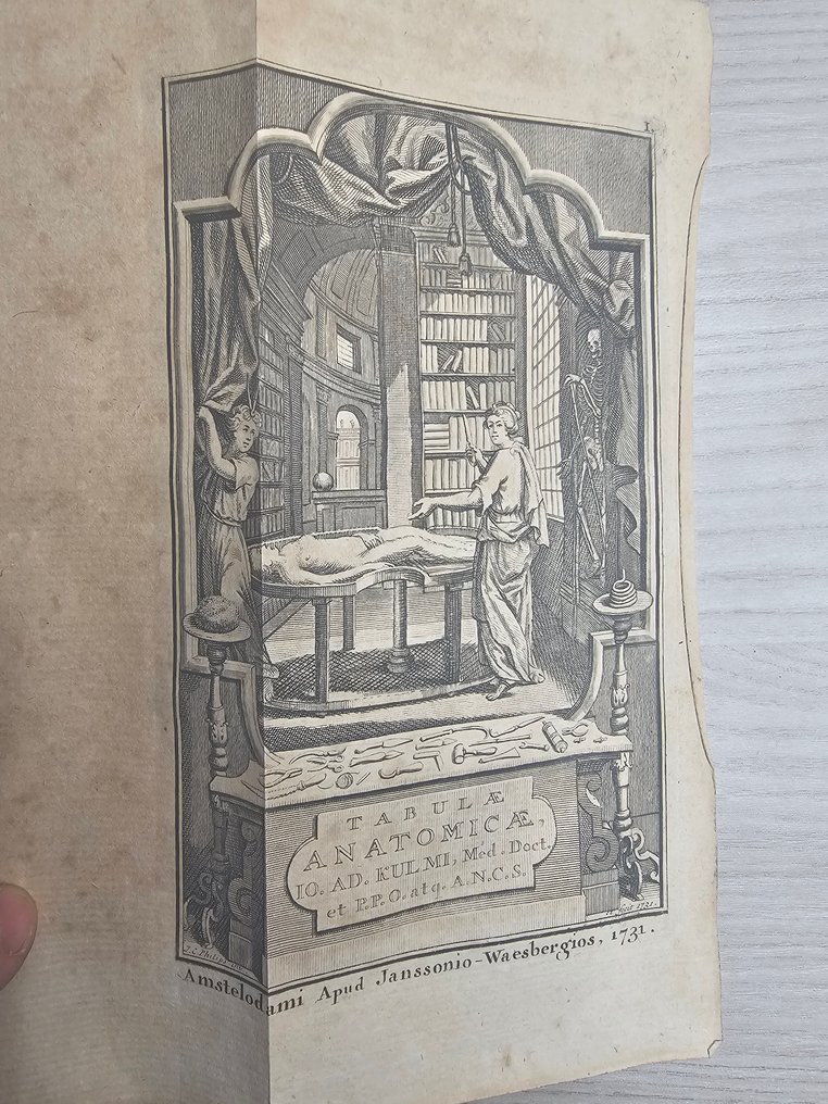 Johann Adam Kulmu - Tabulae Anatomicae - 1744-1744 #3.2