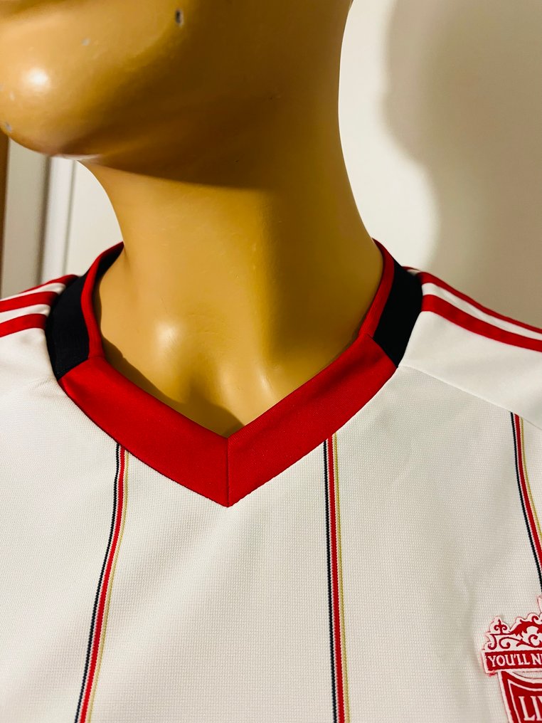 Liverpool - Engelse voetbalcompetitie - 2010 - Voetbalshirt #4.3