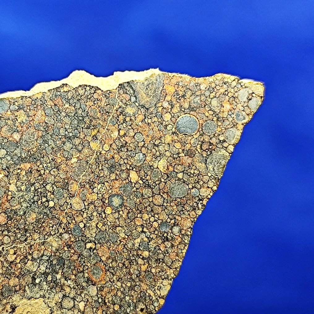 6,7 cm, –Hunderte von Chondren! – Erstaunlicher TYPE LL3 CHONDRITE METEORIT. NWA 17369 (neue Klassifikation) - 14.2 g #1.0