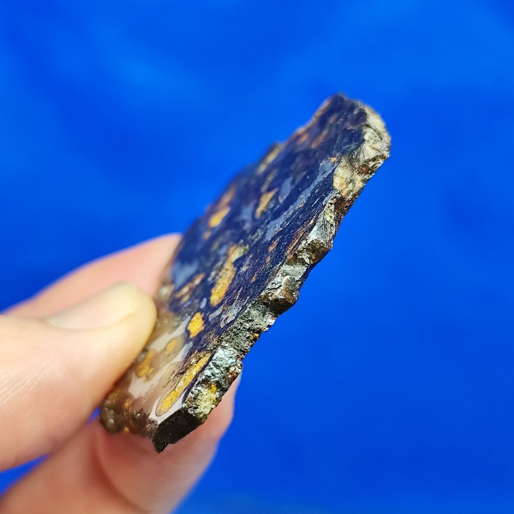 Very nice PALLASITE Slice. SERICHO (Kenya, 2016). Without reserve price! - 25.8 g #4.3