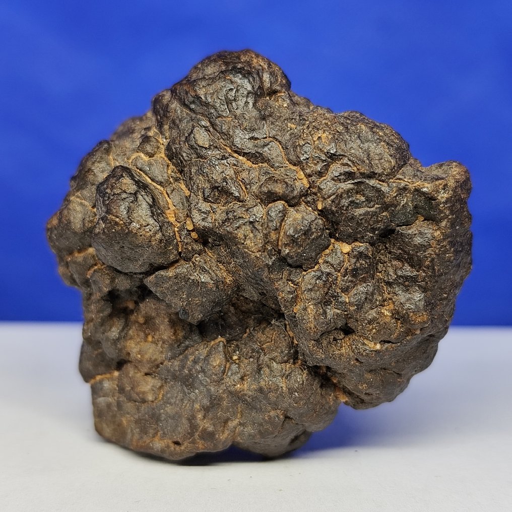 Mesosiderite meteorite. MDEÏNÉ 001 (Mauritania, 2021). Stony iron meteorite - XL - 105.6 g #1.0