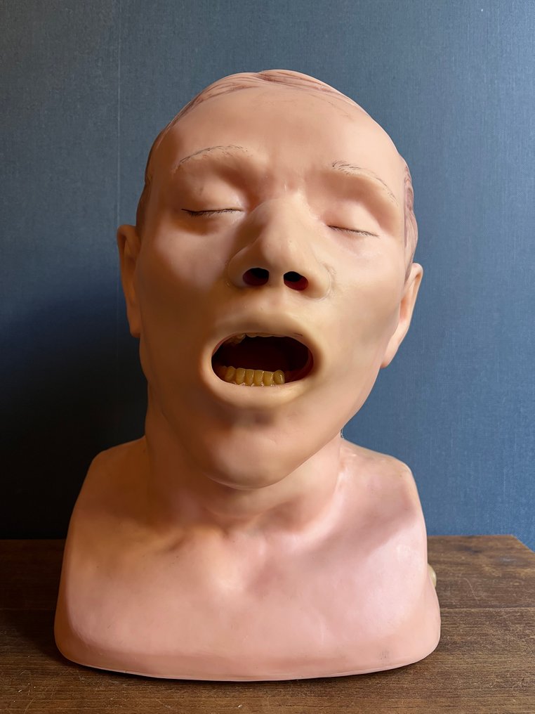 Model anatomic - Plastic - 1980-1990 - Model de antrenament anatomic #1.0