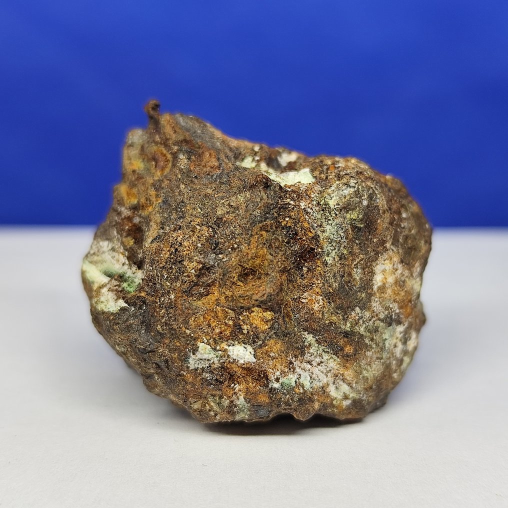 Πάλλασιτ Μετεωρίτης. SERICHO (Κένυα, 2016) Ωραίο κομμάτι, με ελιές στην επιφάνεια. - 33.2 g #1.0