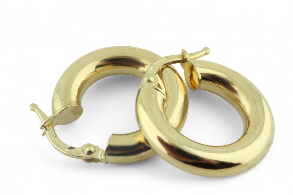 Øreringer - 18 karat Gull #1.0