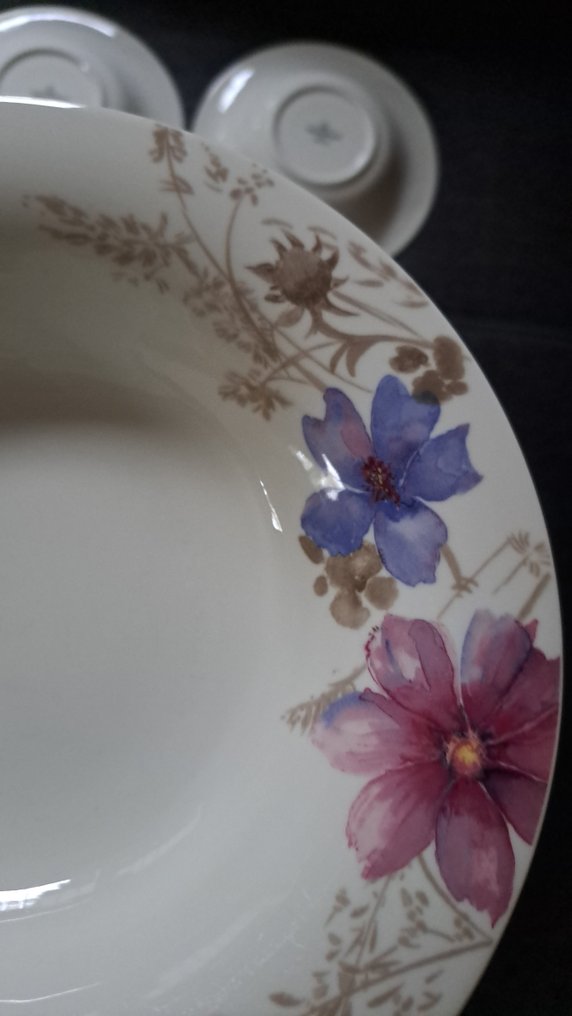 德国唯宝 - 餐盘 (12) - 高端瓷器 - 机会 #2.1