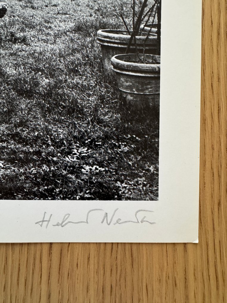 Helmut Newton (1920–2004) - In a garden near Rome, 1977 #3.2