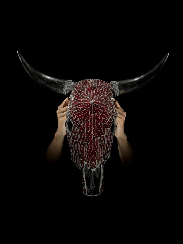 无底价 - 令人惊叹的大型公牛头骨，配有玻璃马赛克镶嵌-棕褐色 颅骨 - Bos Taurus - 50 cm - 53 cm - 18 cm- 非《濒危物种公约》物种 -  (1) #4.3