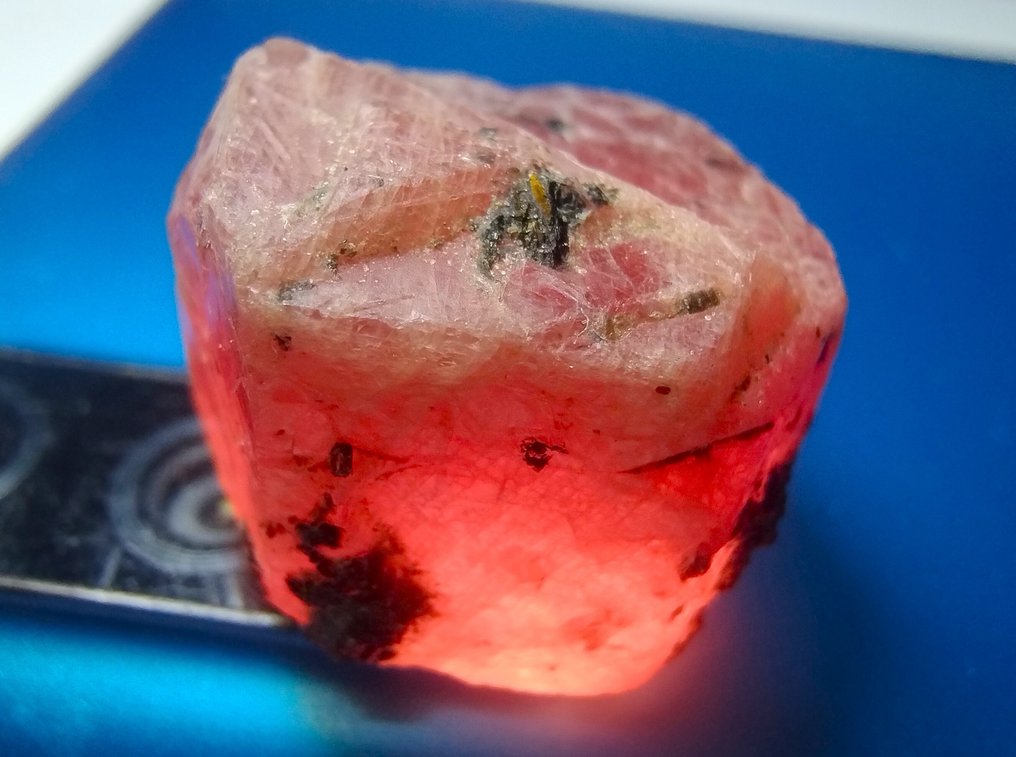 76.8 克拉 大未处理红宝石 粗糙- 15.36 g #1.0