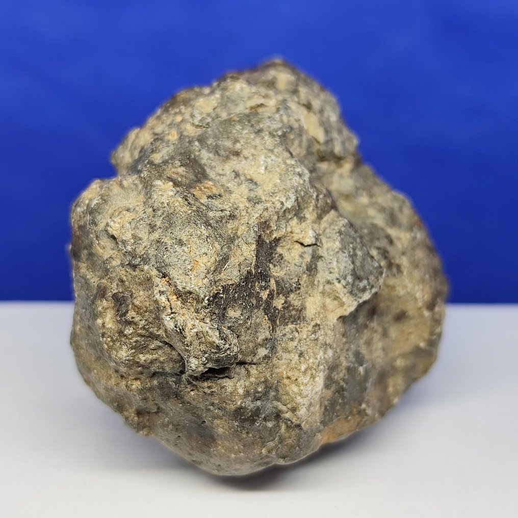 XL MUSEUM new "JIKHARRA 001" (Libya, 2022). EUCRITE METEORITE -achondrite from VESTA- - 247.6 g #3.2