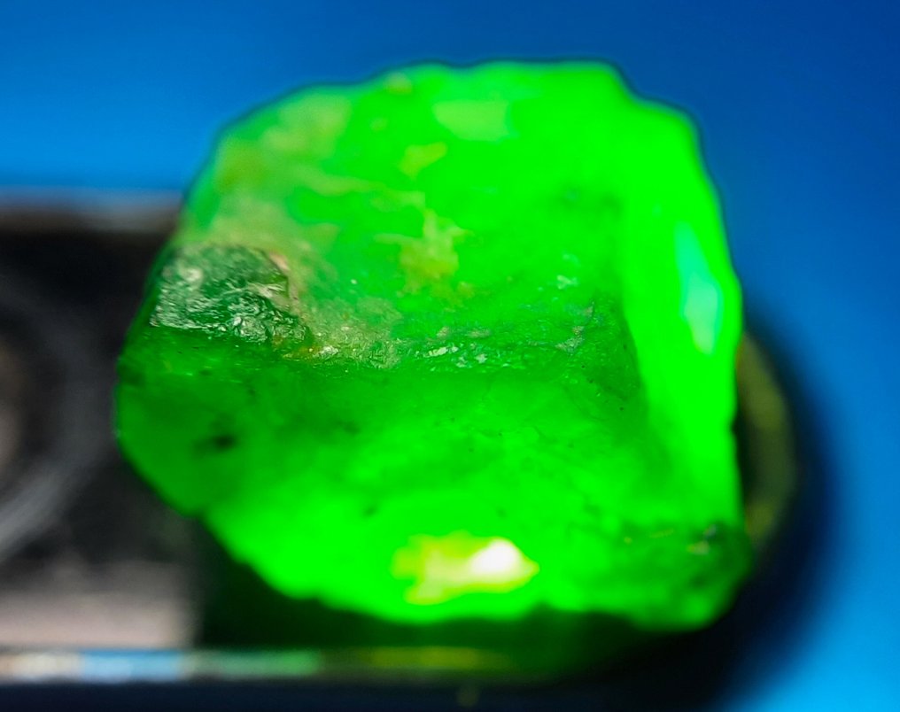 5.85 克拉 - 未处理天然翡翠 粗糙- 1.17 g #3.2