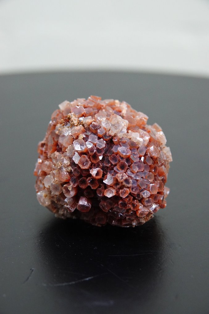 aragonite rosa Allestimento tassidermico a corpo intero - cluster - 0 cm - 0 cm - 0 cm - 1 #1.0