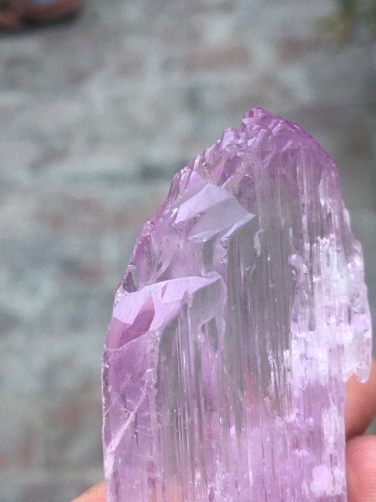 Κουνζίτης Κρύσταλλος - Ύψος: 59 mm - Πλάτος: 40 mm- 62 g - (1) #1.0