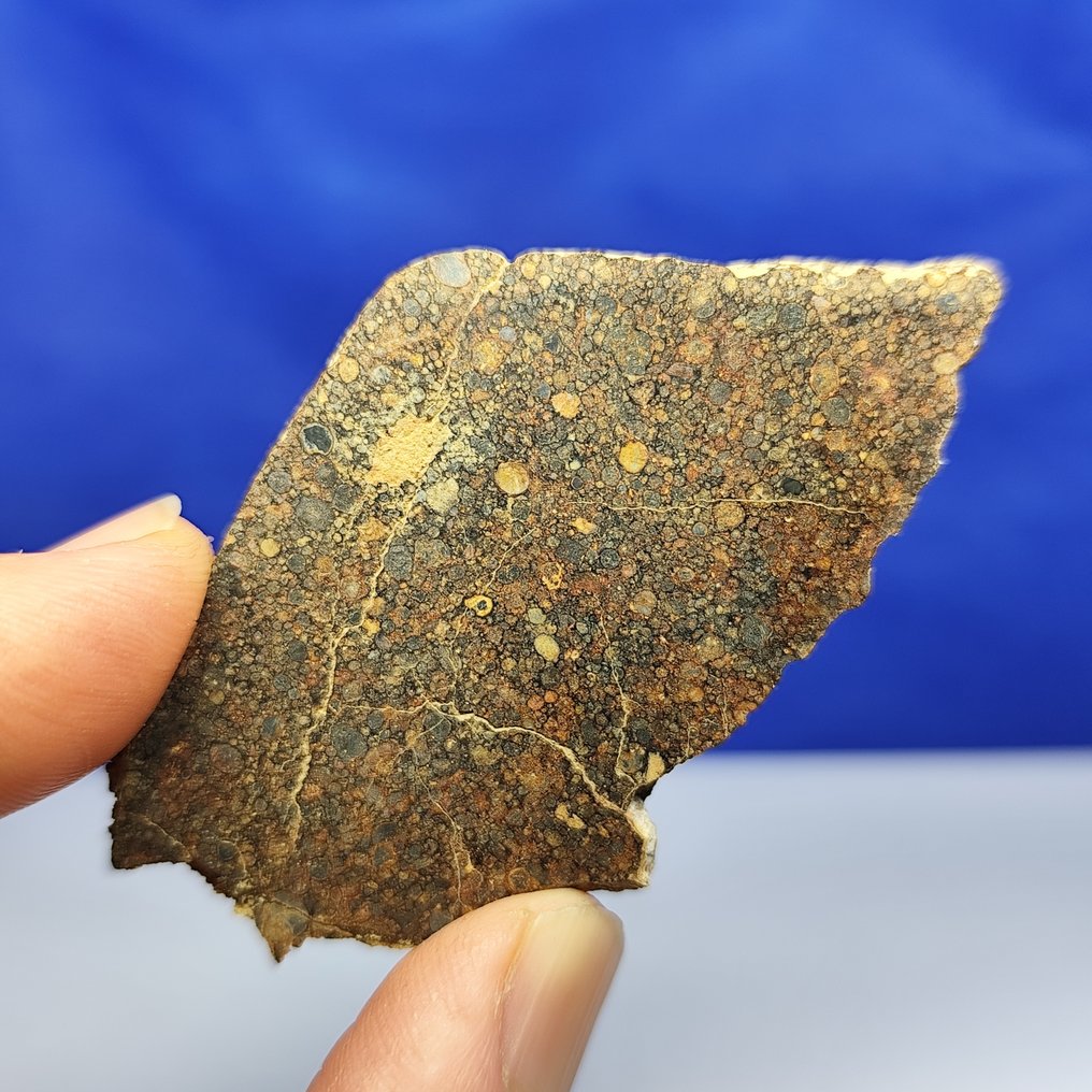 6,7 cm, –Hunderte von Chondren! – Erstaunlicher TYPE LL3 CHONDRITE METEORIT. NWA 17369 (neue Klassifikation) - 14.2 g #1.0