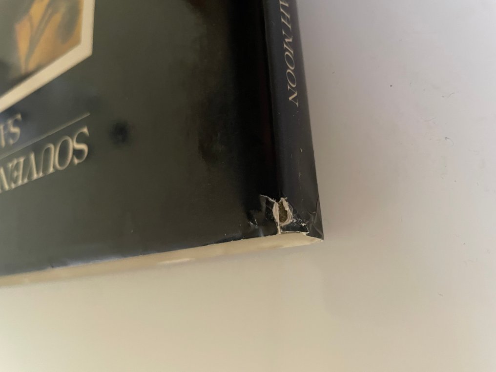 Sarah Moon - Souvenirs Improbables - 1981 #1.0