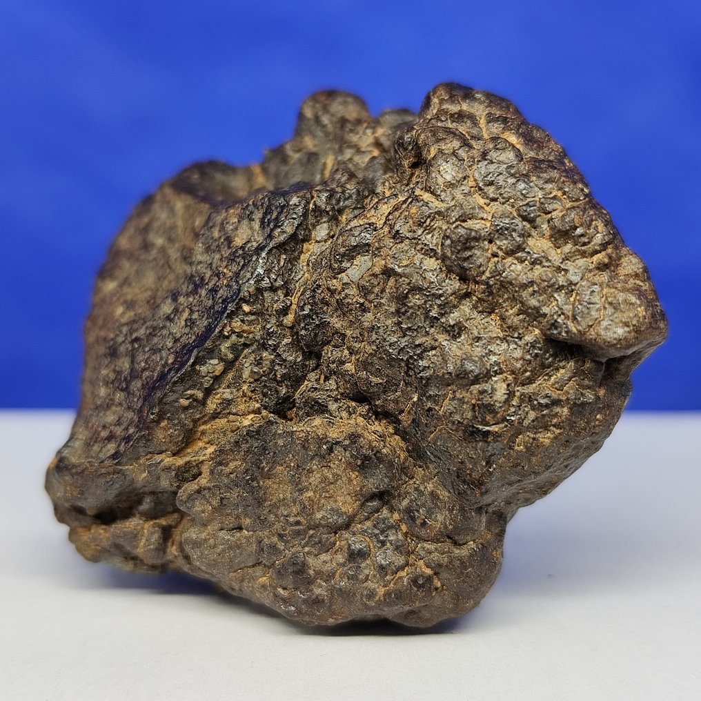 Mesosiderite meteorite. MDEÏNÉ 001 (Mauritania, 2021). Stony iron meteorite - XL - 105.6 g #2.1
