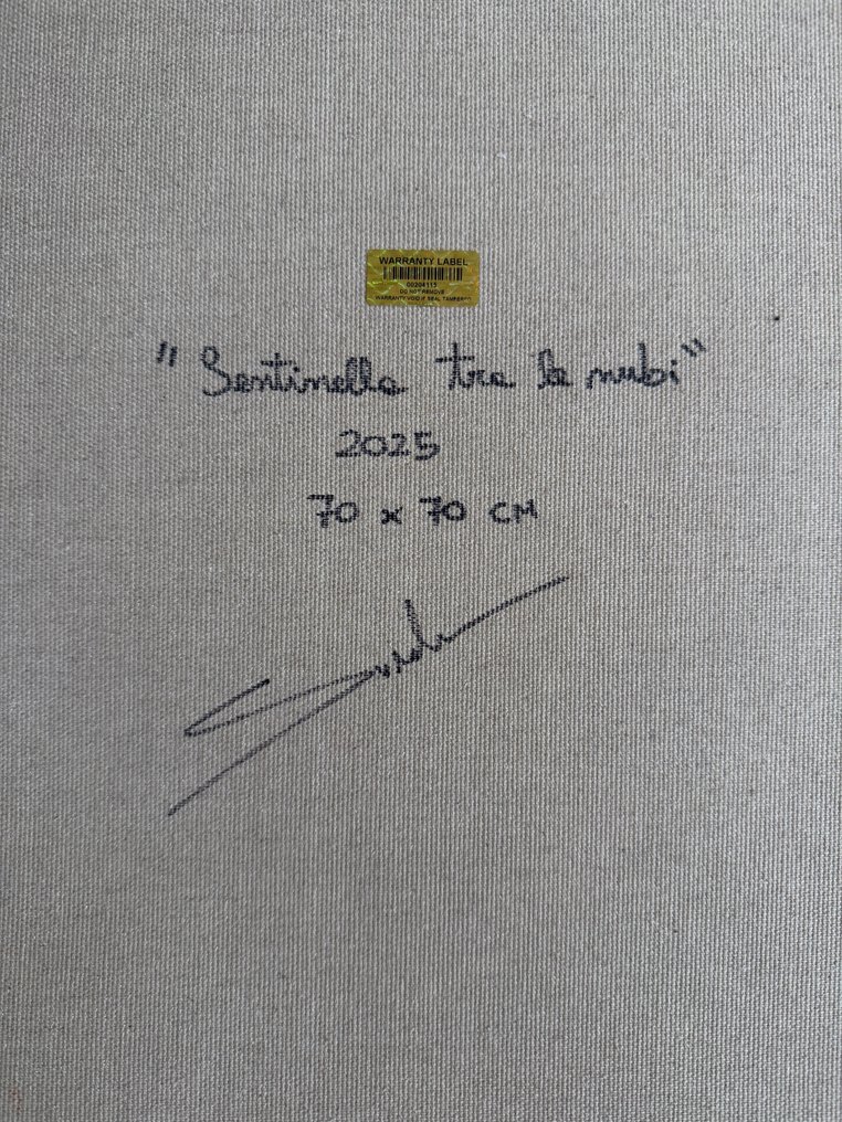 Svnder (XXI) - Sentinella tra le nubi #4.3