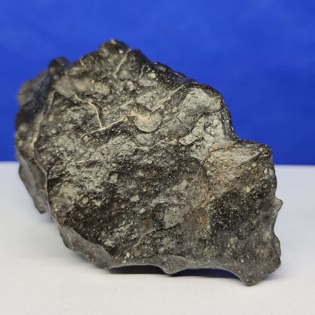 -全球仅1959克- RUMURUTI 玫瑰陨石 R3-6。NWA 13683（撒哈拉，2018年） 特大号件 - 161.3 g #4.3