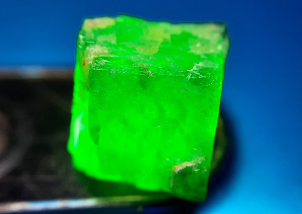 5.85 克拉 - 未处理天然翡翠 粗糙- 1.17 g #1.0