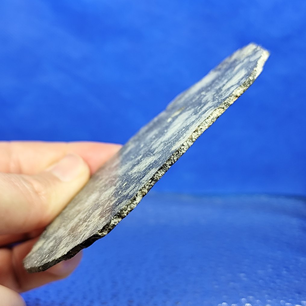 11,7 εκ. Καταπληκτικό!!! EUCRITE MELT BRECCIA. -ΜΕΤΕΩΡΙΤΗΣ αχονδρίτης από την Εστία- "NWA 15658" (Σαχάρα, 2022). ΧΩΡΙΣ ΕΛΑΧΙΣΤΗ ΤΙΜΗ! - 49.3 g #3.2