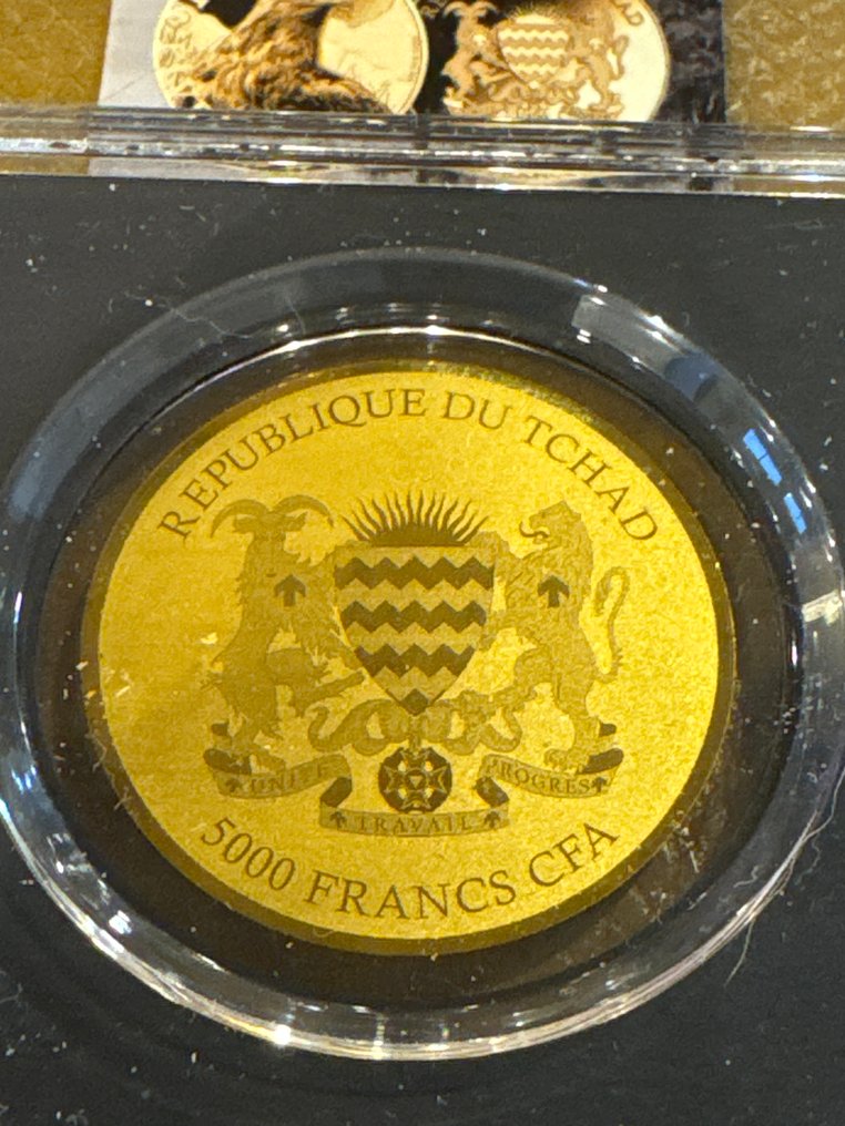 乍得. 5000 Francs 2020 Seeadler - 1/200 (.999) mit CoA  (没有保留价) #2.1