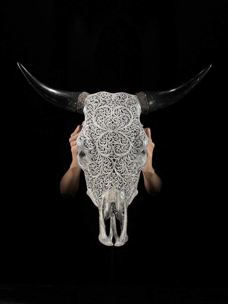 无底价 - 令人惊叹的巨大灰色手工雕刻公牛头骨 - Pakis 图案 雕刻的颅骨 - Bos Taurus - 54 cm - 59 cm - 19 cm- 非《濒危物种公约》物种 -  (1) #4.3